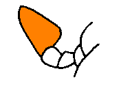 abb060.gif
