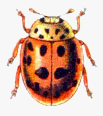 abb060a.gif