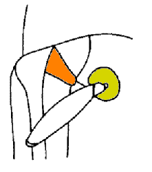 abb077.gif