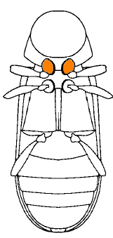 abb092.gif