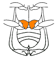 abb112.gif