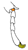 abb120.gif