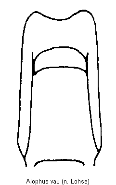 alophus_vau.gif