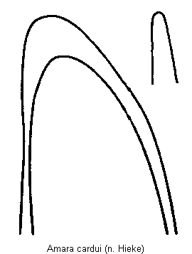 amara_cardui.gif