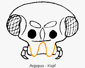 argopus_k.gif
