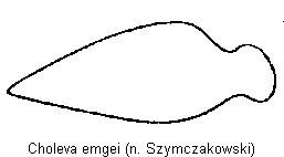 choleva_emgei_troch.gif