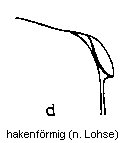 d-hakenfoermig.gif