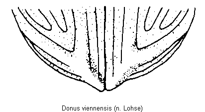 donus_viennensis_fld.gif