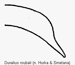 dvalius_roubali.gif