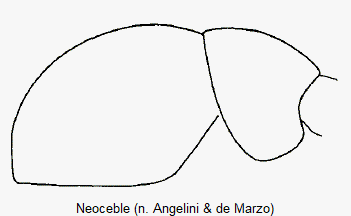 neoceble_schulter.gif