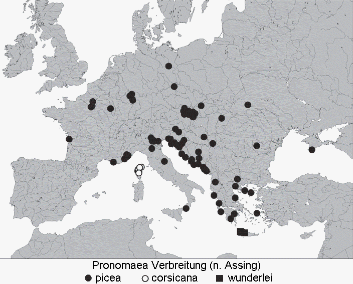 pronomaea_verbreitung2.gif