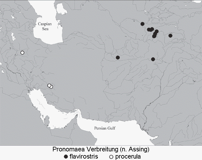 pronomaea_verbreitung5.gif