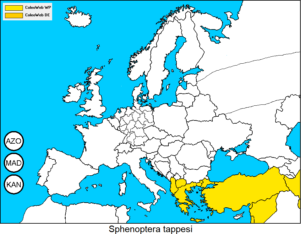 sphenoptera_tappesi_dis.gif