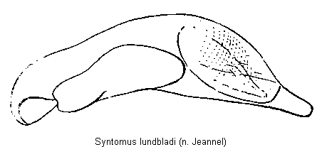 syntomus_lundbladi.gif