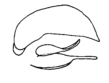 tre121.gif