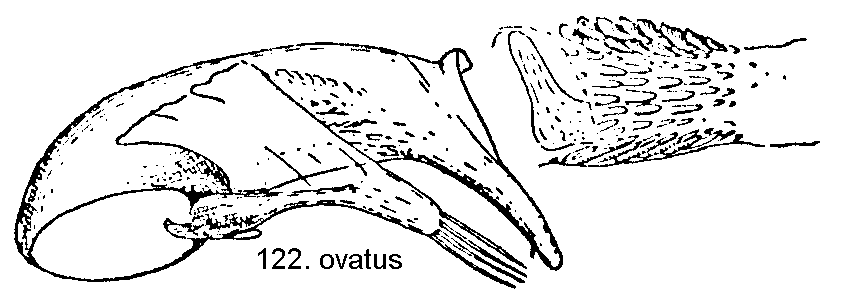 tre1221.gif