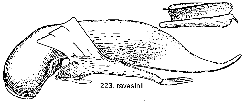 tre223.gif