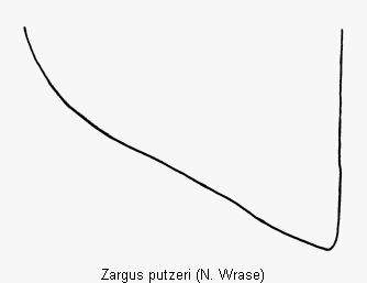 zargus_putzeri_nahtwi.gif